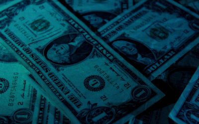 ASSEMBLY ‘ELECTION OUTLOOK’ REPORT: 2024 CYCLE WILL BE THE MOST EXPENSIVE IN HISTORY